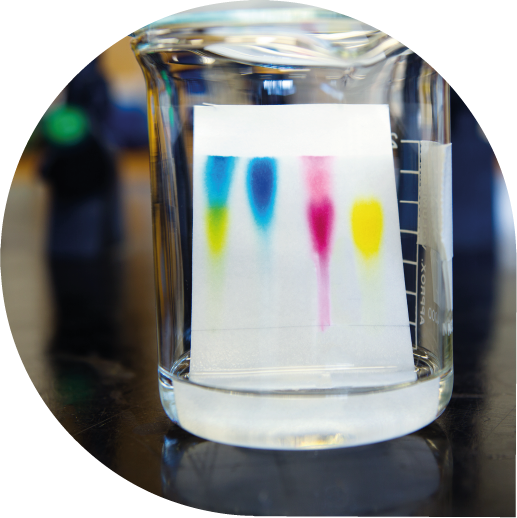 Chromatography