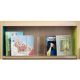 Zig-zag Display Shelves